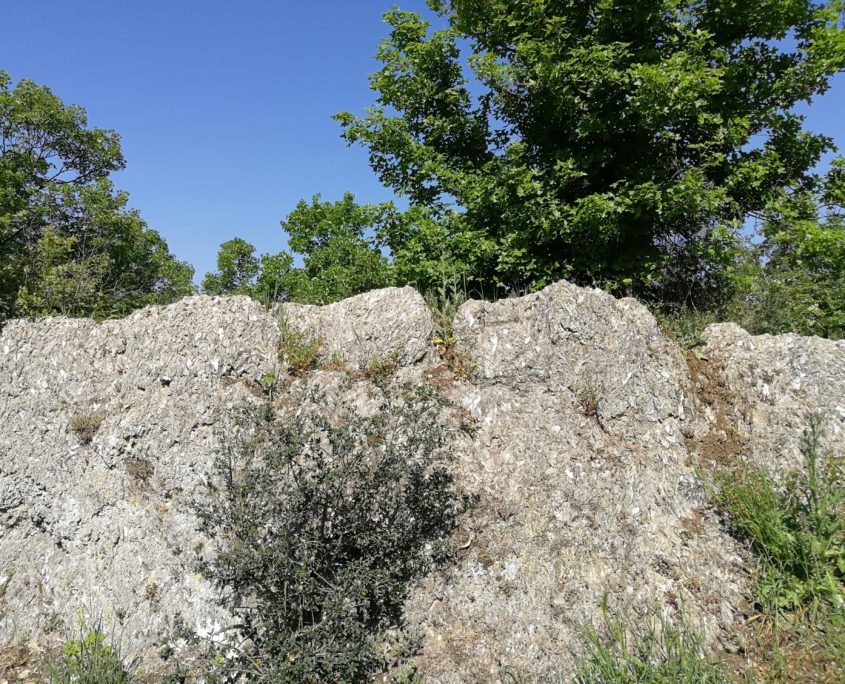 Pietra di quarzo, sentiero 900 Gaibola - Parco Cavaioni