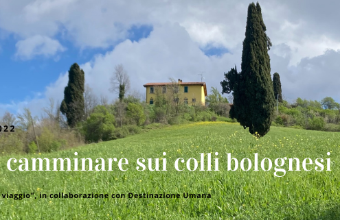 Scrivere e camminare sui colli di Bologna