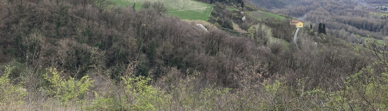 sentiero dei Bregoli, Bologna, dettaglio